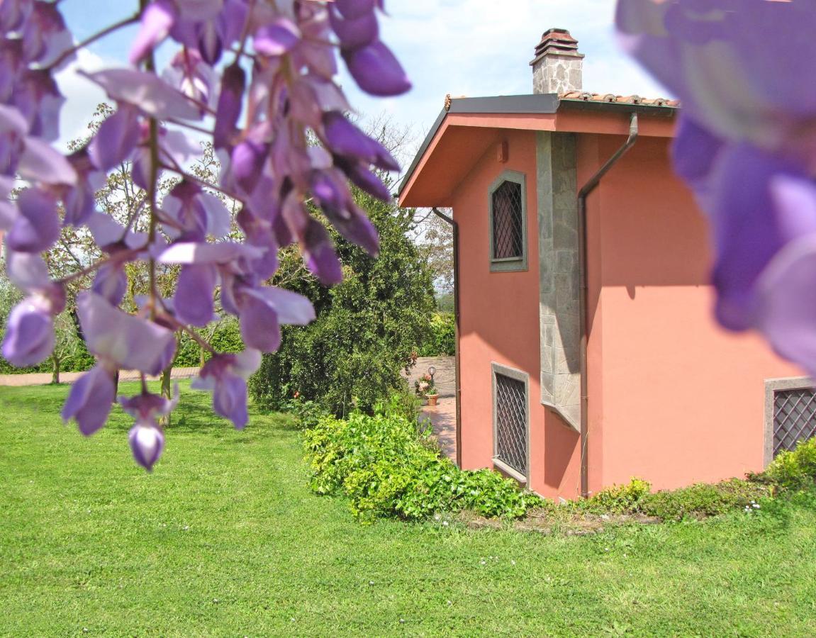 B&B Ai Glicini - Castelli Romani Marino Exterior foto
