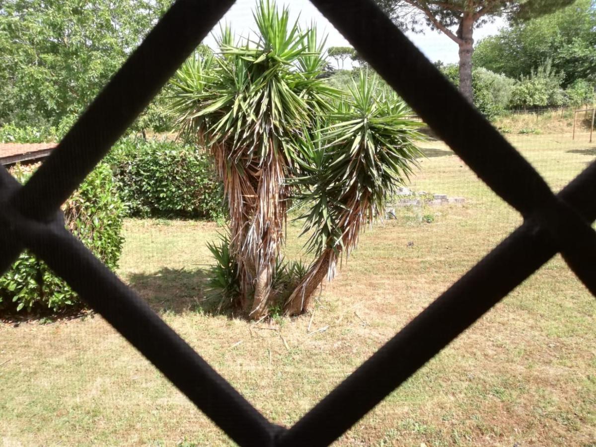 B&B Ai Glicini - Castelli Romani Marino Exterior foto